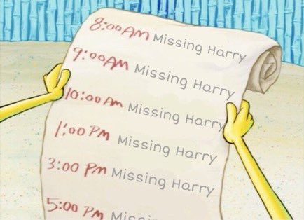 sarahᴴ loves harry🪩💋 tweet media
