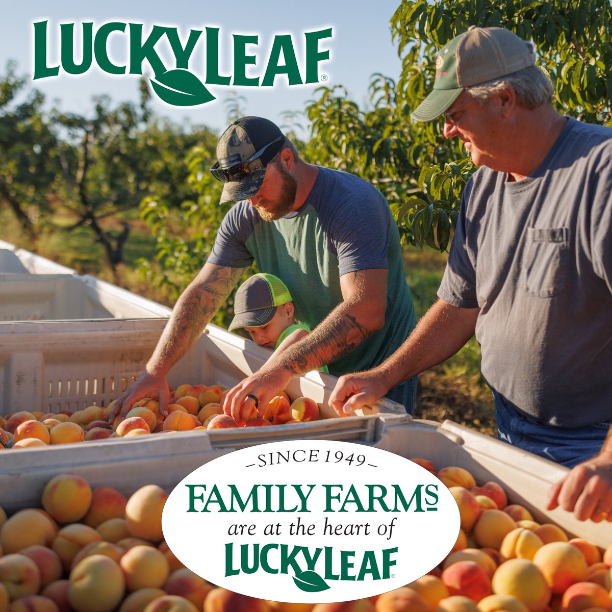luckyleaf's tweet image. Not all learning happens in the classroom. Lucky Leaf is proud to help support new generations of family farmers for over 70 years.