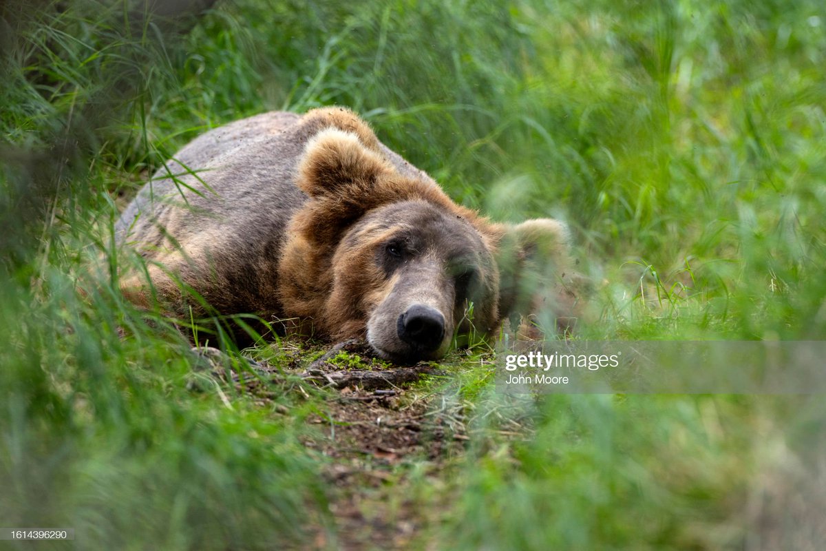 GettyImagesNews tweet picture