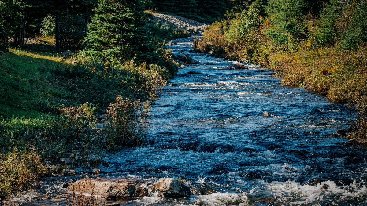 townofhrgrace's tweet photo. The Town of Harbour Grace is delighted to announce its partnership with Stewardship Association of Municipalities Inc (SAM). @SAM_Stewardship
Read about the newly signed Municipal Habitat Stewardship Agreement on our website: https://t.co/OyPc6mCha6
#letyourselfin
(1/2) https://t.co/j68ifKjnEr