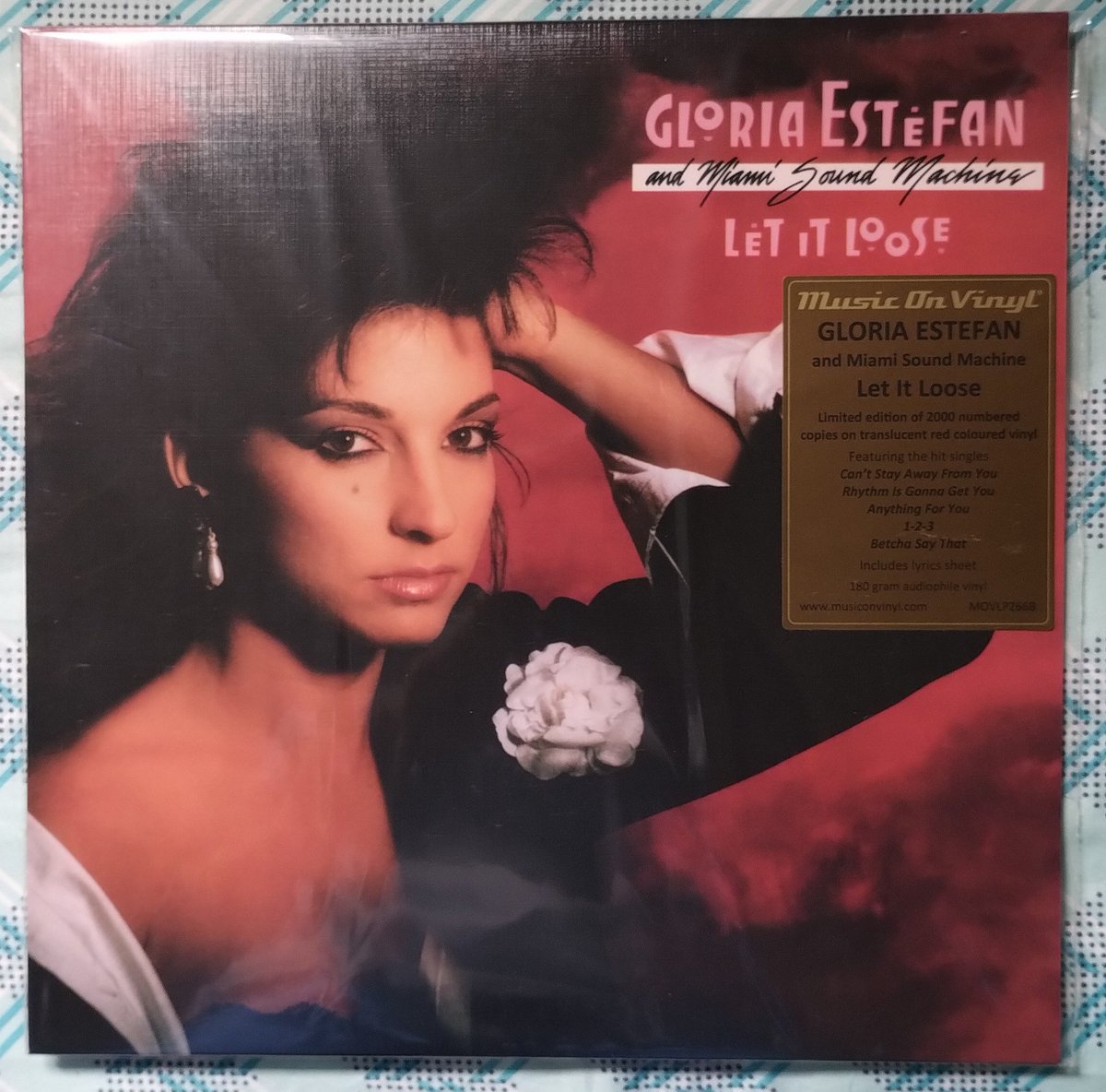 MoraesGilliardi's tweet image. Finally arrived! My Gloria Estefan and Miami Sound Machine Let It Loose Limited Edition On Translucent Red Vinyl. Absolutely gorgeous! #MiamiSoundMachine
#LetItLoose #MusicOnVinyl