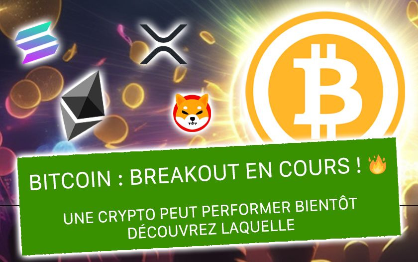 lexaMoon_crypto tweet picture