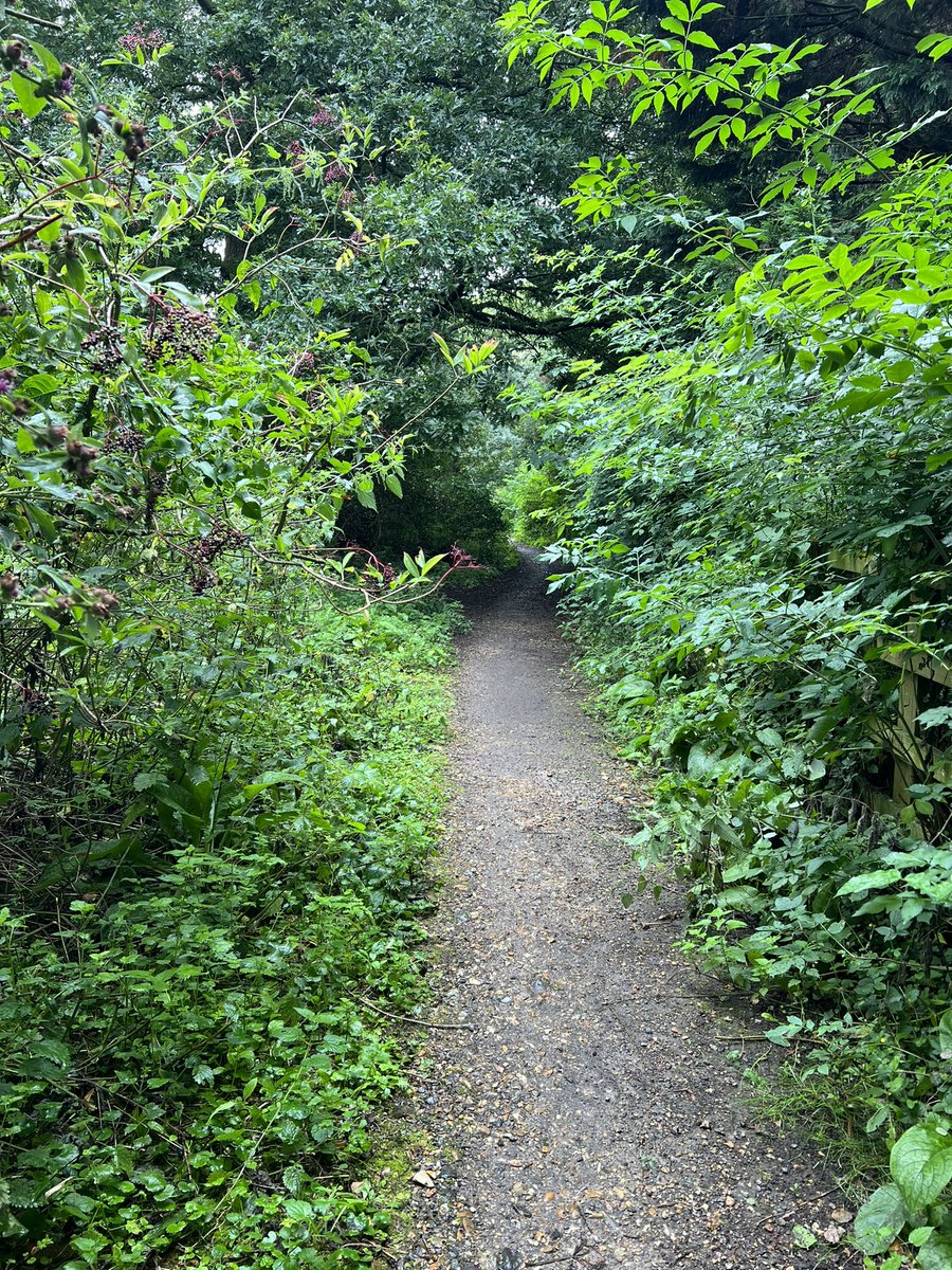 Martin Cabble-Reid | Upgrade Your Day tweet media