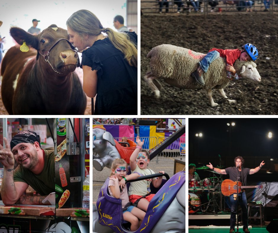 What's your favorite thing about the fair? #Food #Rides #Animals #Music #Fun