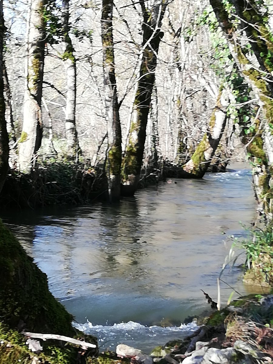 Seul un agrion
Danse au-dessus de l'eau

S'endort le ruisseau

#haikai #haiku #haikuchallenge