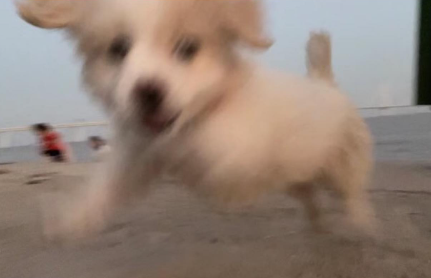 온몸으로 행복을 표현하고 있음...