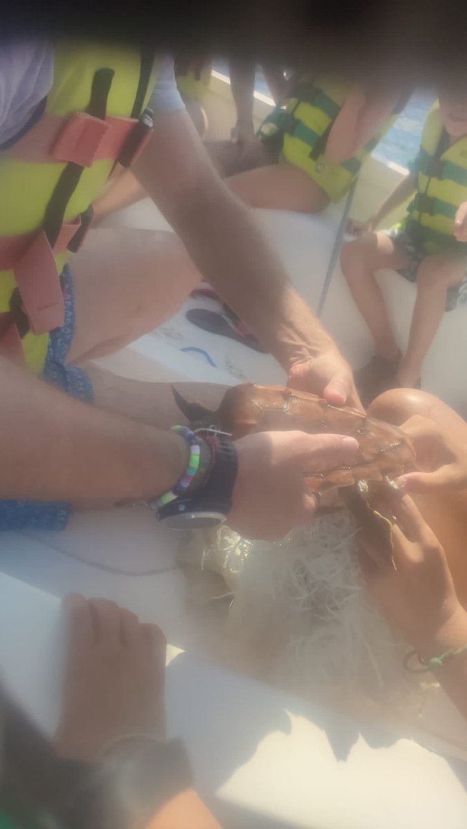 Club Nàutic Sitges tweet media