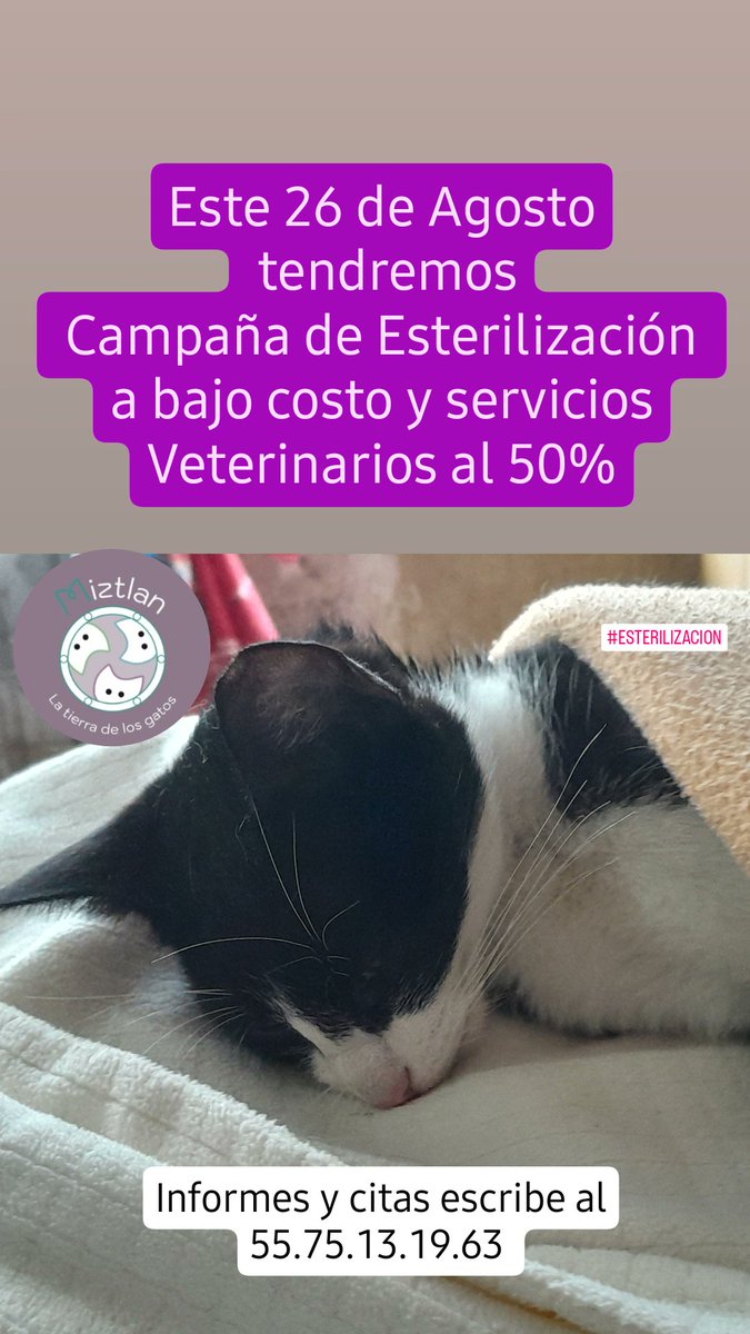 GatitosCdmxAyuda (@gatitoscdmx) on Twitter photo ¡ PORQUE LA ESTERILIZACIÓN ES LA SOLUCIÓN !
Y en el marco del ANIVERSARIO DE <a href="/miztlan/">Miztlan ORG</a> habrá servicios médicos y esterilizaciones a bajo costo!
Porque ya no basta llevar al propio; lleva al del vecino decidioso, al comunitario y brindale una vida digna
INFO: <a href="/miztlan/">Miztlan ORG</a> ¡ PORQUE LA ESTERILIZACIÓN ES LA SOLUCIÓN !
Y en el marco del ANIVERSARIO DE <a href="/miztlan/">Miztlan ORG</a> habrá servicios médicos y esterilizaciones a bajo costo!
Porque ya no basta llevar al propio; lleva al del vecino decidioso, al comunitario y brindale una vida digna
INFO: <a href="/miztlan/">Miztlan ORG</a>