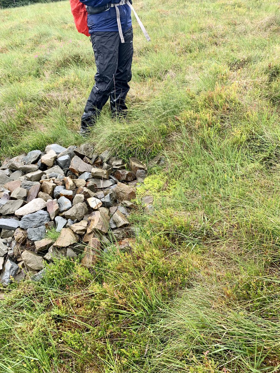 Yorkshire Peat Partnership - follow us on Bluesky tweet media