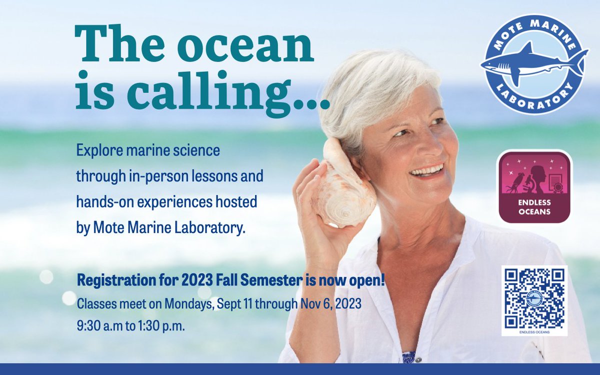 🌊 Curious about our #oceans? Interested in expanding your knowledge while also expanding your network? 📝 Continue your #lifelong learning journey with <a href="/MoteMarineLab/">Mote Marine Laboratory & Aquarium</a>. 📆 Register by 9/6 for a full SEAmester mote.org/lifelonglearni…