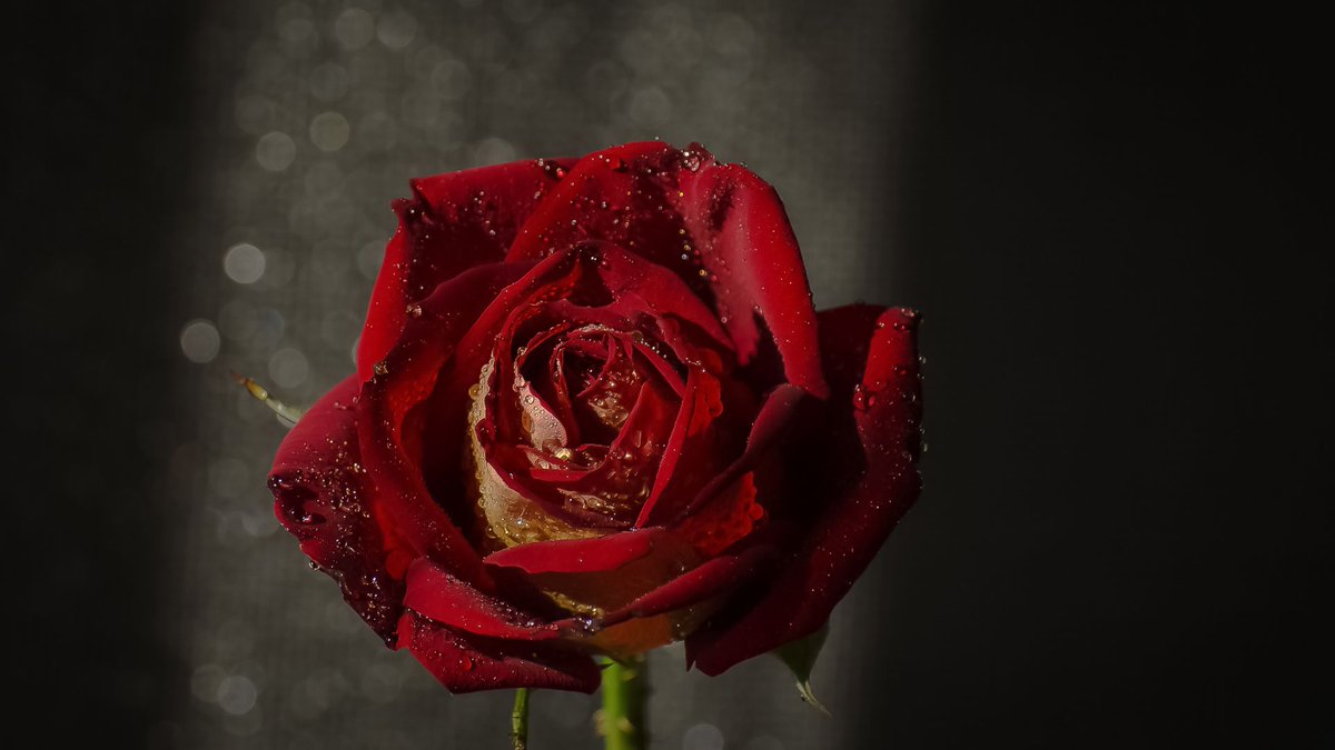 KupidArrows's tweet image. 😍 A genuine smile works wonders! It's a universal language that instantly makes you more approachable and attractive. #SmileMagic

…9x7gq501bqmwajeok1h.hop.clickbank.net/?tid=kupidtwee…