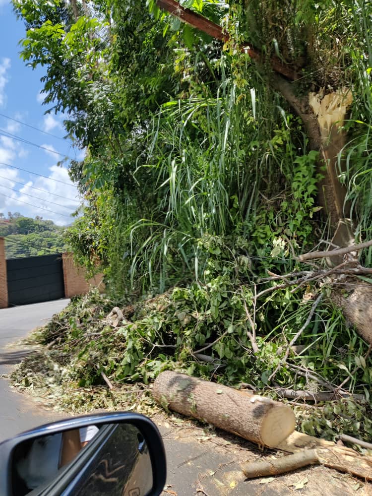 Glenurio's tweet photo. @darwingonzalezp @darwingonzalezp Choque fuerte de frente esta mañana en El Peñon, justamente porque dejaron todos los restos del arbol en medio de la via y hay un solo canal... Solo falta otro accidente y vida por lamentar.... Retirar ramas por favor.... https://t.co/IpeTYhch42