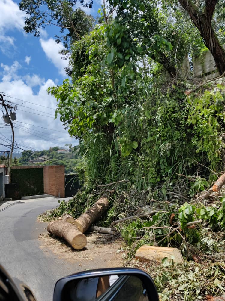 Glenurio's tweet photo. @darwingonzalezp @darwingonzalezp Choque fuerte de frente esta mañana en El Peñon, justamente porque dejaron todos los restos del arbol en medio de la via y hay un solo canal... Solo falta otro accidente y vida por lamentar.... Retirar ramas por favor.... https://t.co/IpeTYhch42