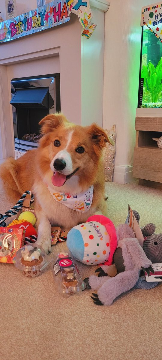 jacqui hill tweet media