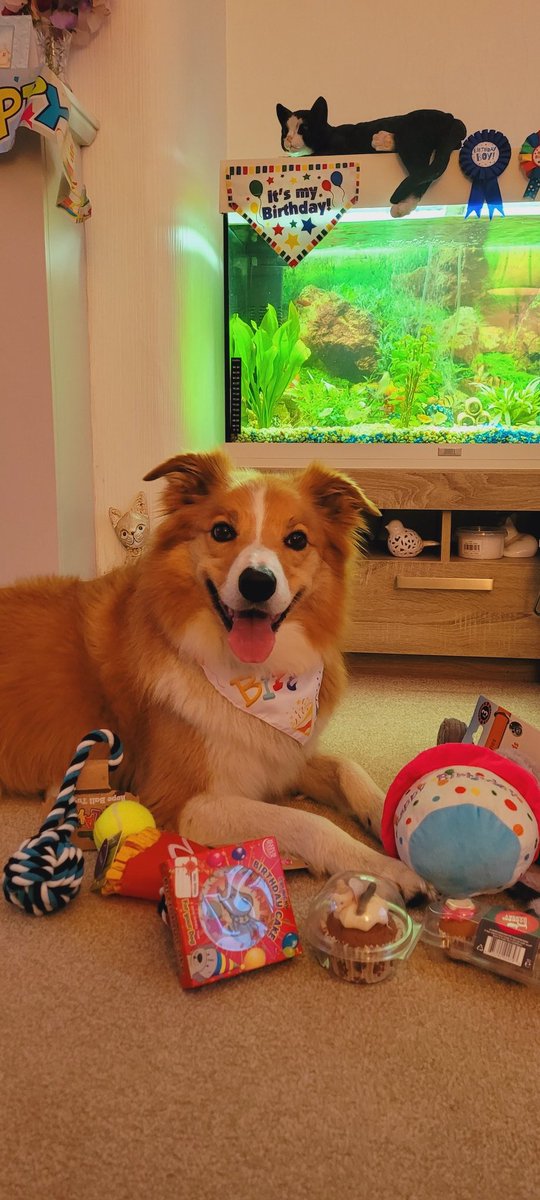 jacqui hill tweet media