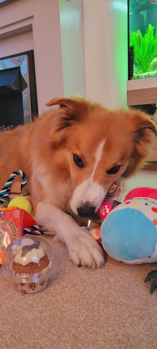 jacqui hill tweet media