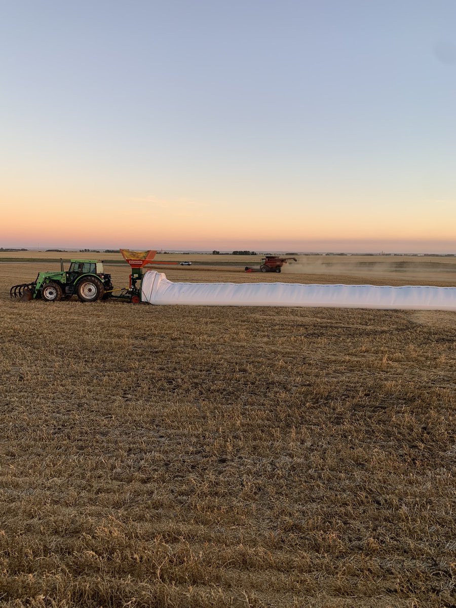 RobPage7's tweet photo. Finishing up the peas. #harvest23 https://t.co/4PIbnouI2X