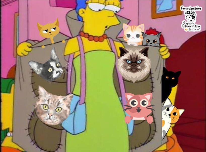 Eleitmx's tweet image. Cuando me dicen que saque el vicio, automáticamente yo: