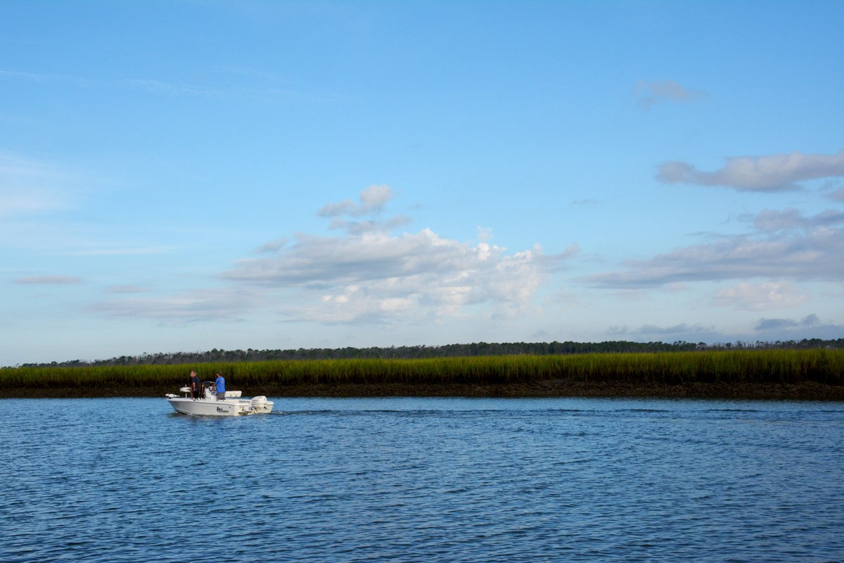 FrippIslandRsrt's tweet image. Grab a Skiff from Excursions and take advantage of the warm weather this week! Call Excursions at 843-838-1518 to find out more info. 

#frippinit #frippisland #frippislandresort