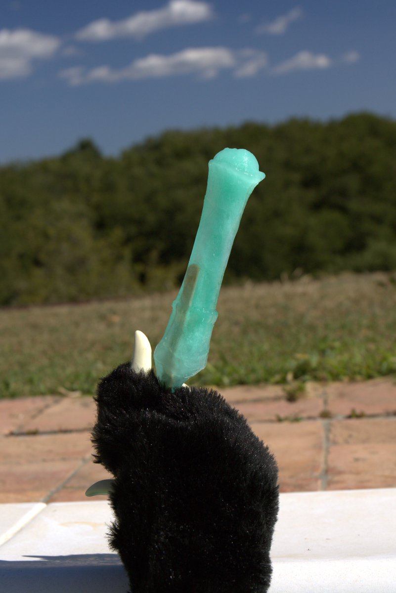 Paw&Tail tweet media