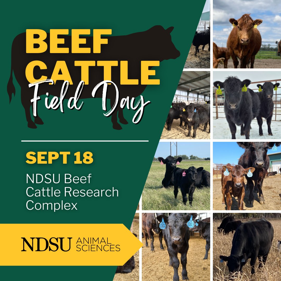 The <a href="/NDSUansc/">NDSU Department of Animal Sciences</a> Beef Field Day has been rescheduled! Please join us on September 18 from 11:30-3:30 to learn more about the beef cattle research being conducted by the department.
