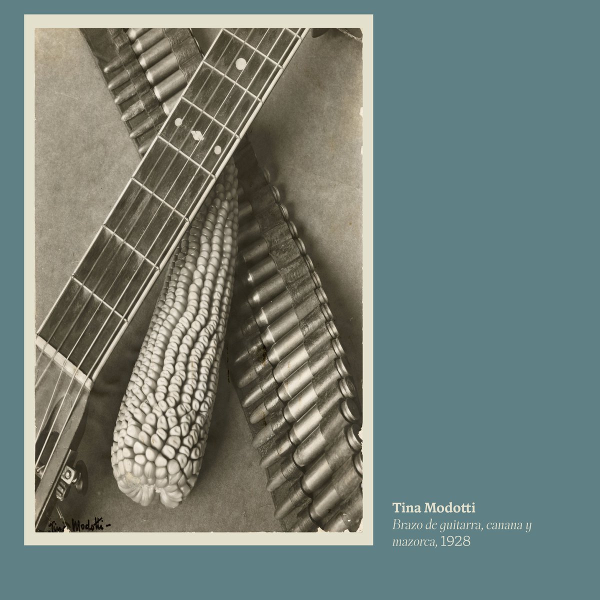 📷 #TinaModotti
Brazo de guitarra, canana y mazorca, 1928

#FotográficaMx