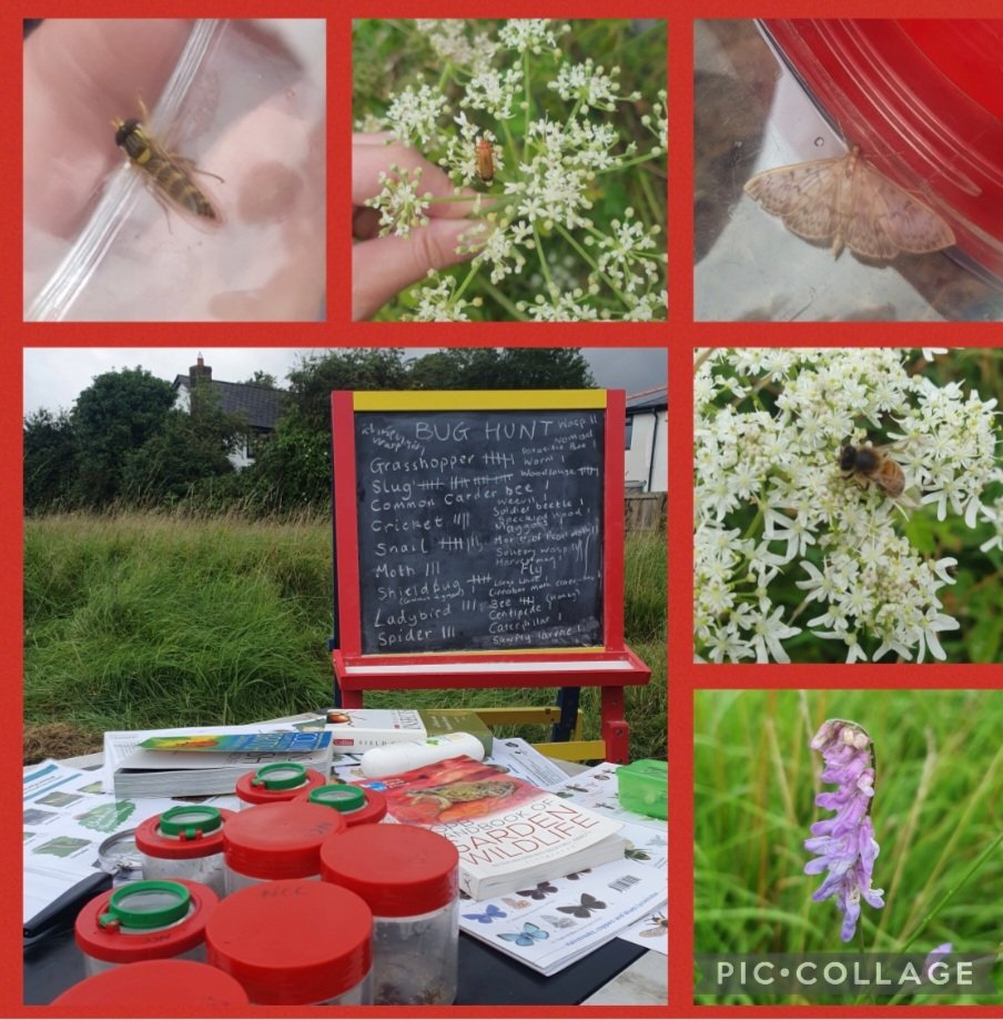 So lovely to have so many local people join myself, @JenkinsBoobyer & #GreenCaerleon on a community bug hunt at a local green space, despite the grey clouds! The weather held out and we found lots of critters enjoying the long grass and wildflowers! #biodiversity #newport