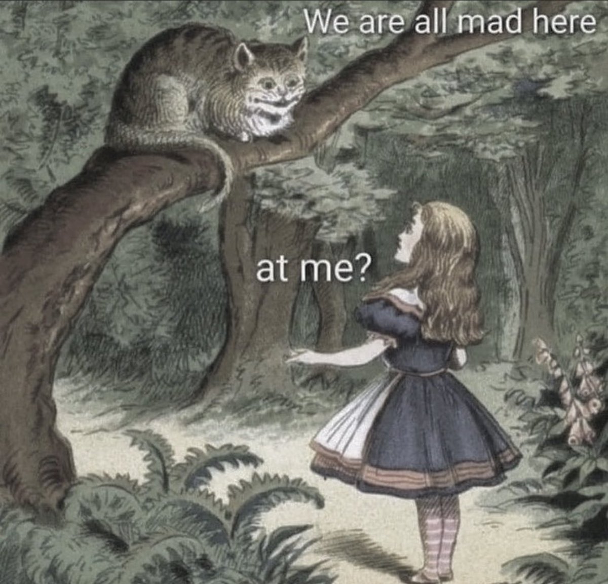 The Notorious J.O.V. (@whotfisjovana) on Twitter photo 