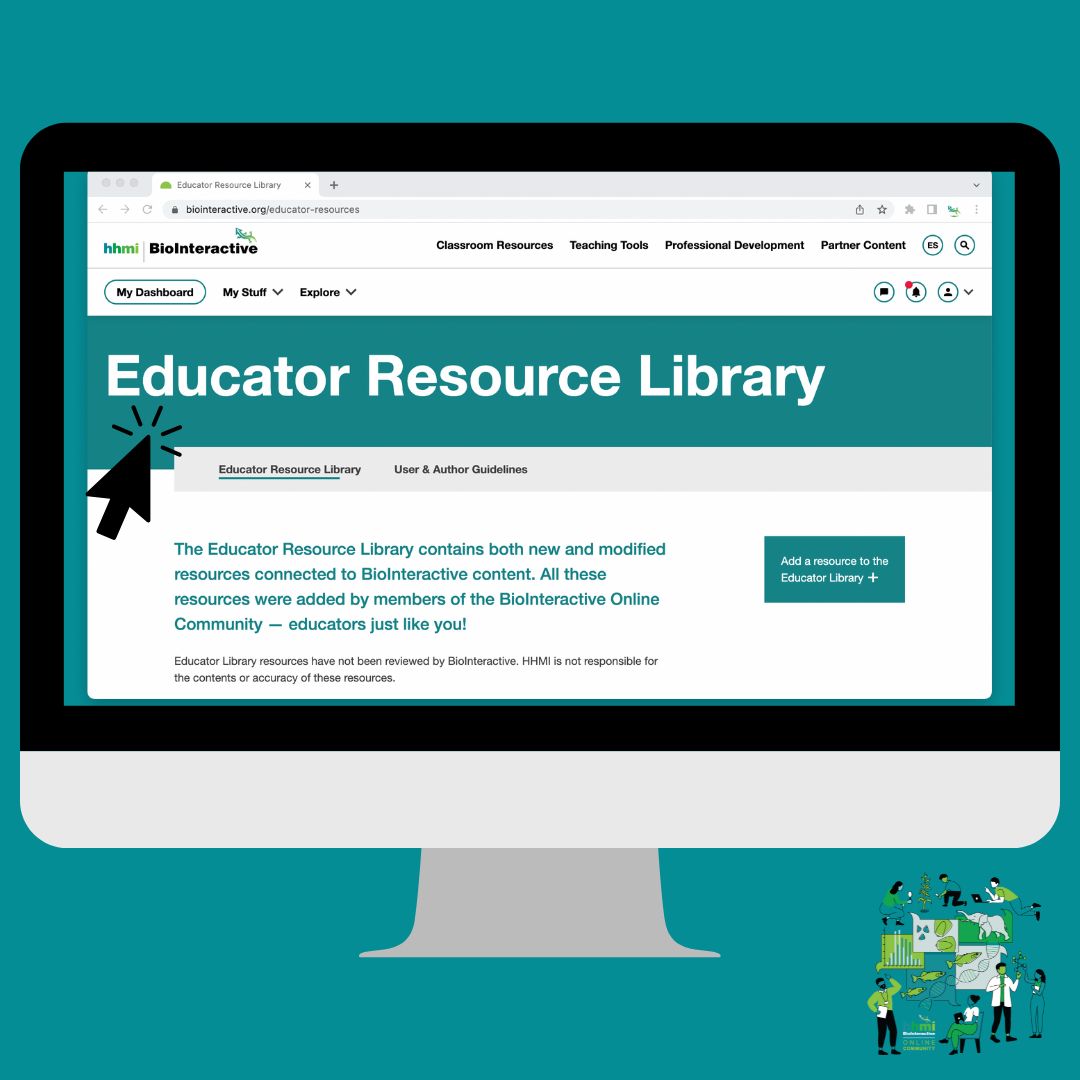 Do you adapt or modify our activities? Our Online Community features an Educator Resource Library with teacher-created materials that complement BioInteractive resources. Access is only available to verified Community members, so create an account today! biointeractive.org/educator-resou…