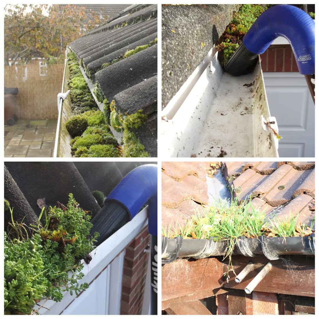 MartinSwinney73's tweet photo. Contact me with gutter blockages. Complete clean outs using the latest gutter vacuum by Sky Vac with real time inspection camera. Drop a message for an instant quotation. #gutterservices #gutterblockages #guttervacuuming #gutterclearance #GutterVacuumSystems https://t.co/1zZis4VGHL