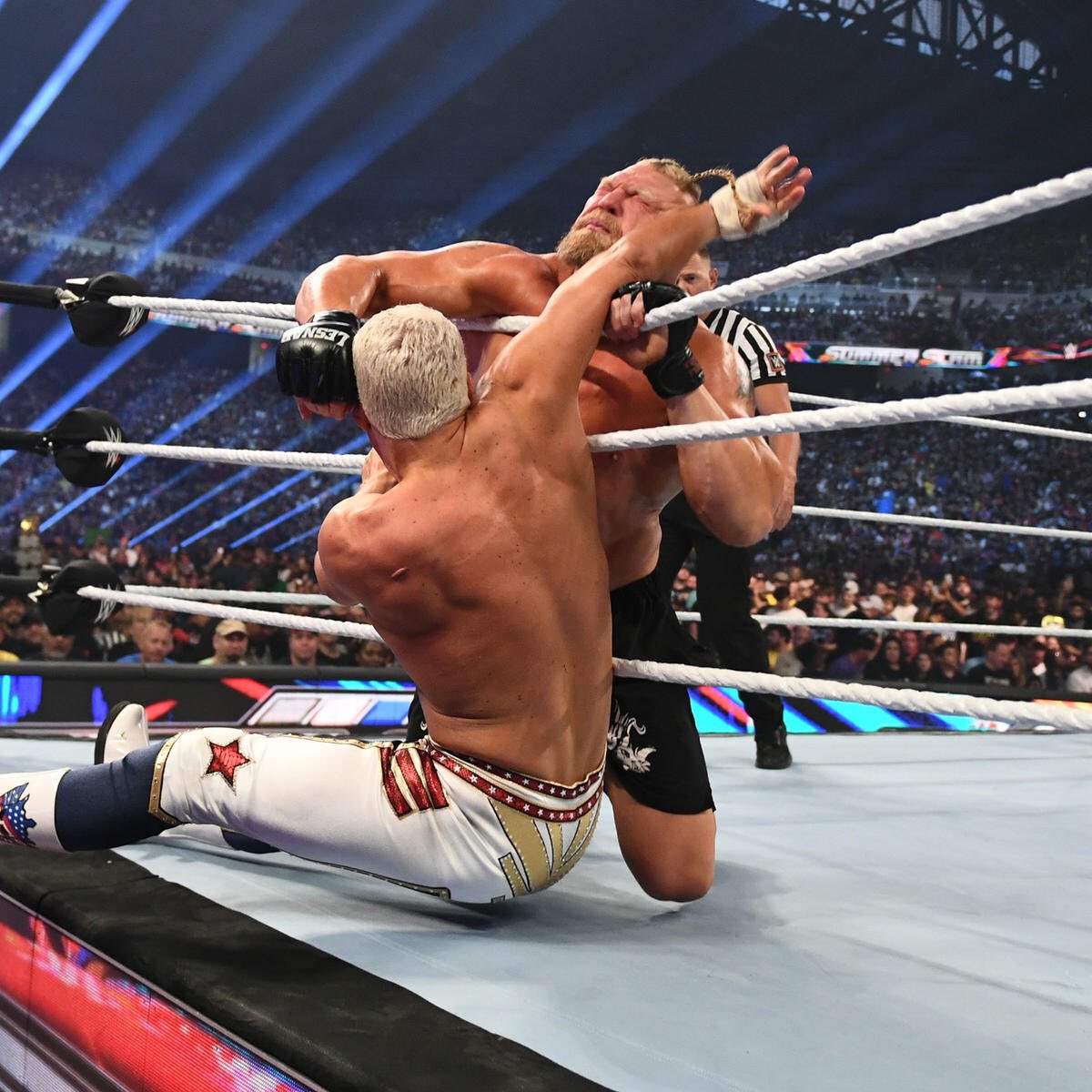 AndMyFatherSaid's tweet image. A beast that must be put to rest. One who has left me humiliated time and time again for his own amusement but that’s something Brock will never do again after it’s all said and done.