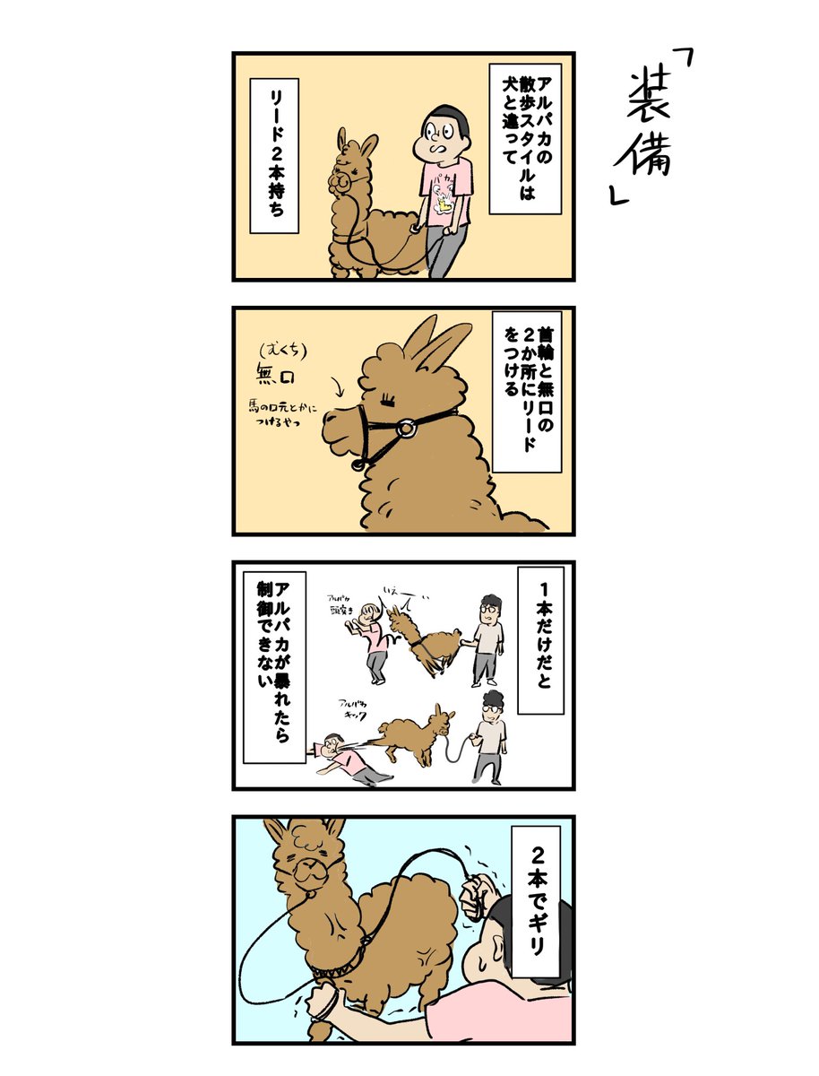 アルパカ研修日誌 2話