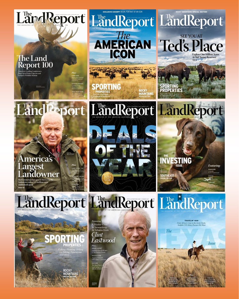 landreport's tweet photo. Download our digitized back issue editions and read for #FREE!
https://t.co/wqq38DDQjd
#land #landforsale #landsales #buyland #buymoreland #investinland #landreport #whatwerereading #readingmaterial #backissues #landreportarchives https://t.co/bPXWIVLon7