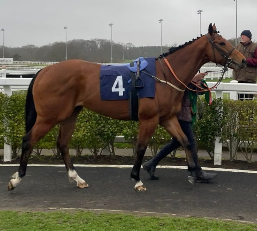 The rainbow is back in action tomorrow <a href="/NewcastleRaces/">Newcastle Racecourse</a> for <a href="/ptmidgley/">paul midgley</a>. Good luck to <a href="/PMulrennan/">Paul Mulrennan</a> who takes the ride 🐎 🌈