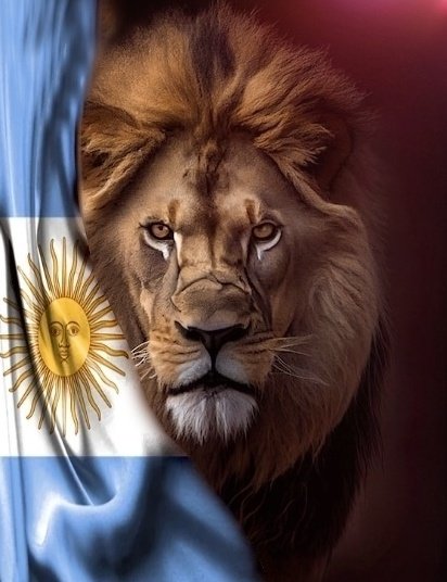 milei_23's tweet photo. Gracias todos los fiscales qué defendieron el voto liberal como unos verdaderos LEONES.. 🦁 🇦🇷 

Hoy son los héroes de este gran triunfo!.. Gracias leones  🇦🇷 VLLC!! https://t.co/qeR7ZGfYN5