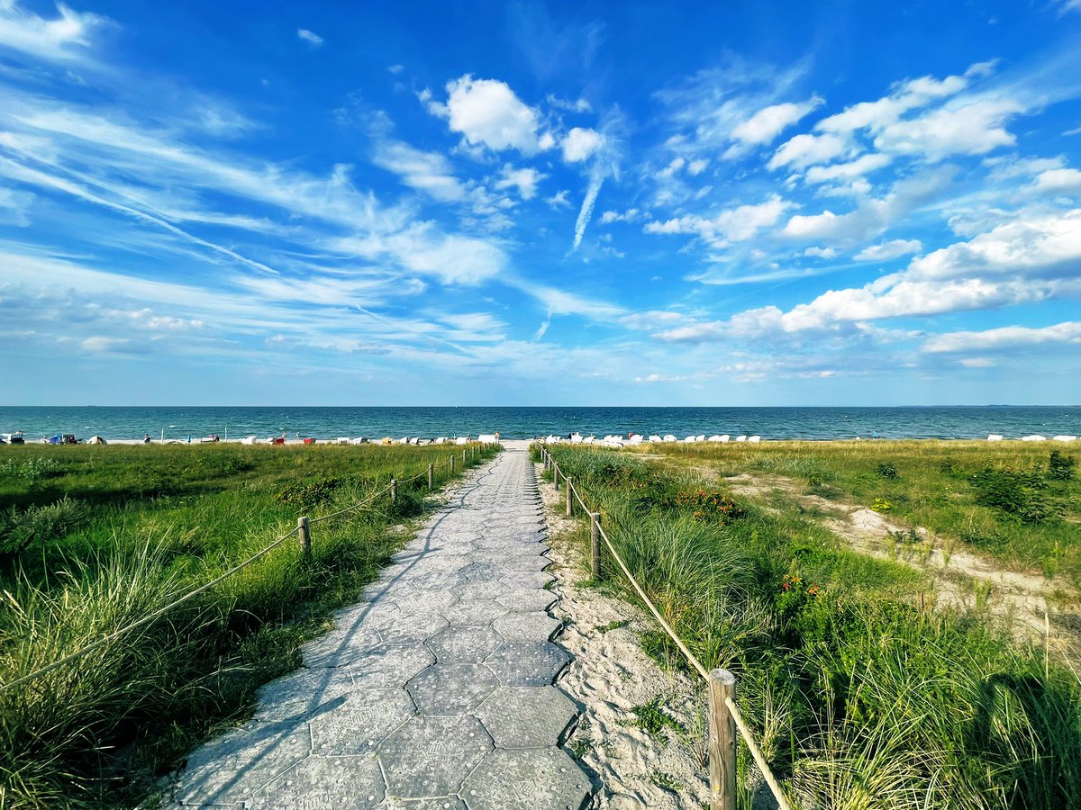 Hier ist des Volkes wahrer Himmel, 
Zufrieden jauchzet groß und klein; 
Hier bin ich Mensch, hier darf ich’s sein!
