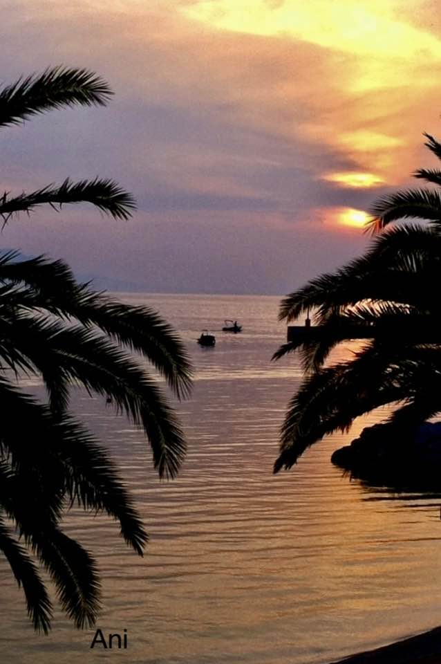 nenadzanko's tweet photo. #Croatia #Gradac https://t.co/ny1YEA4muX