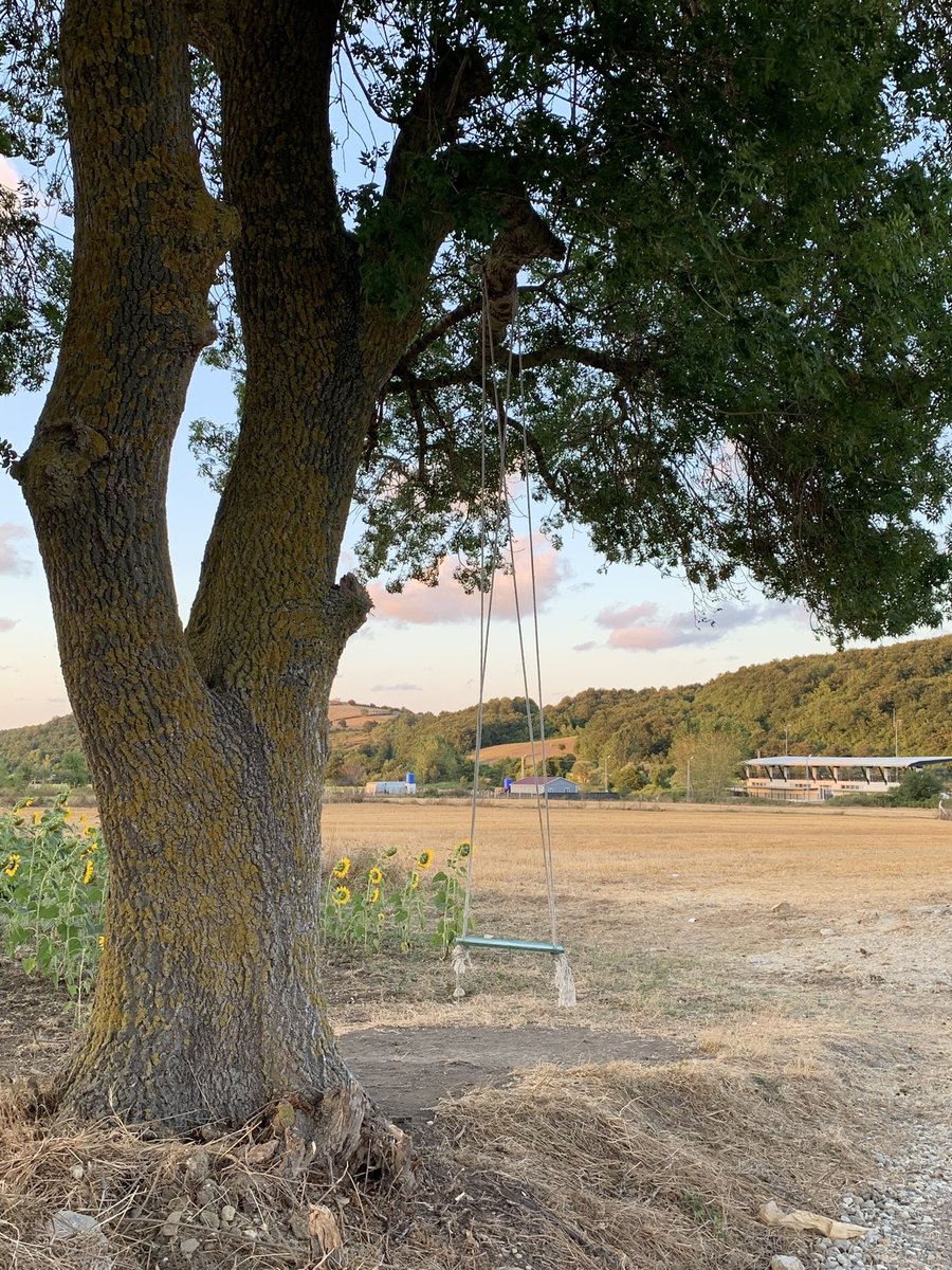 ayçiçeklerine, gün batımına ve allah’a bayılırım🌻