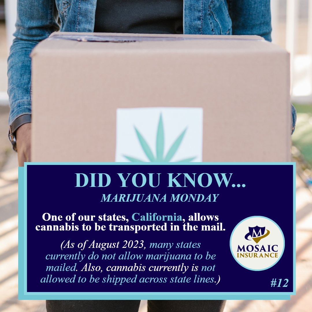 What else is there to know about #cannabis in #California? Call us about your #marijuana #business. While you're at it, see our California #weed coverage page: mosaicia.com/cannabis-insur… 

#Mosaicia #marijuanamonday #didyouknowmonday #cannabiscommunity #cannabissociety #pot