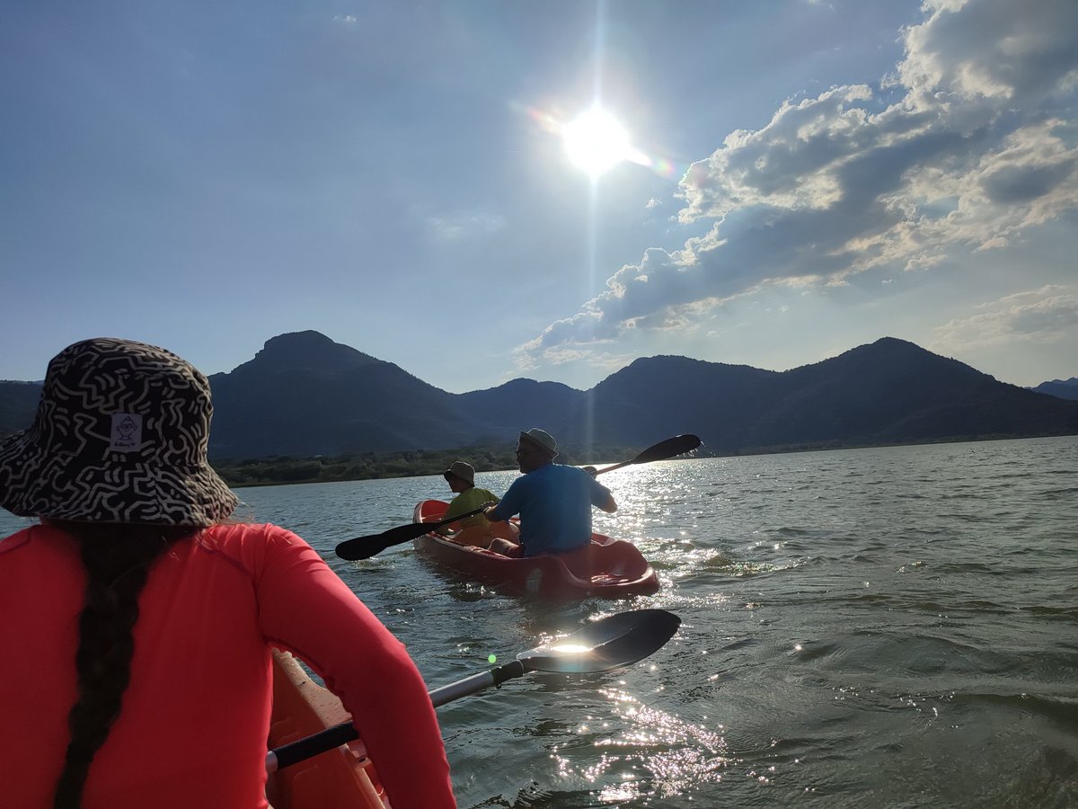 Ian Fairbrother tweet media