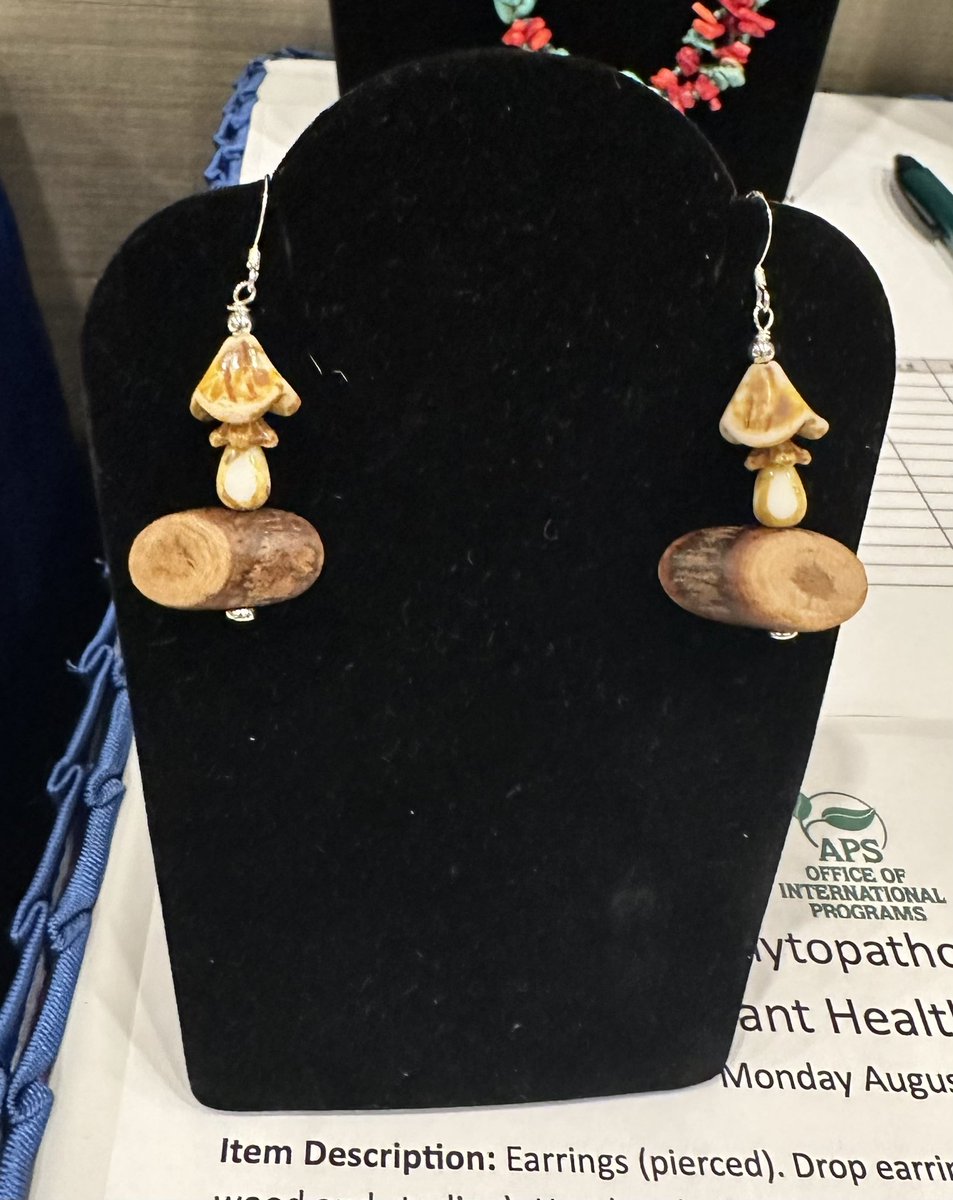 Dr. Carla Garzon tweet media