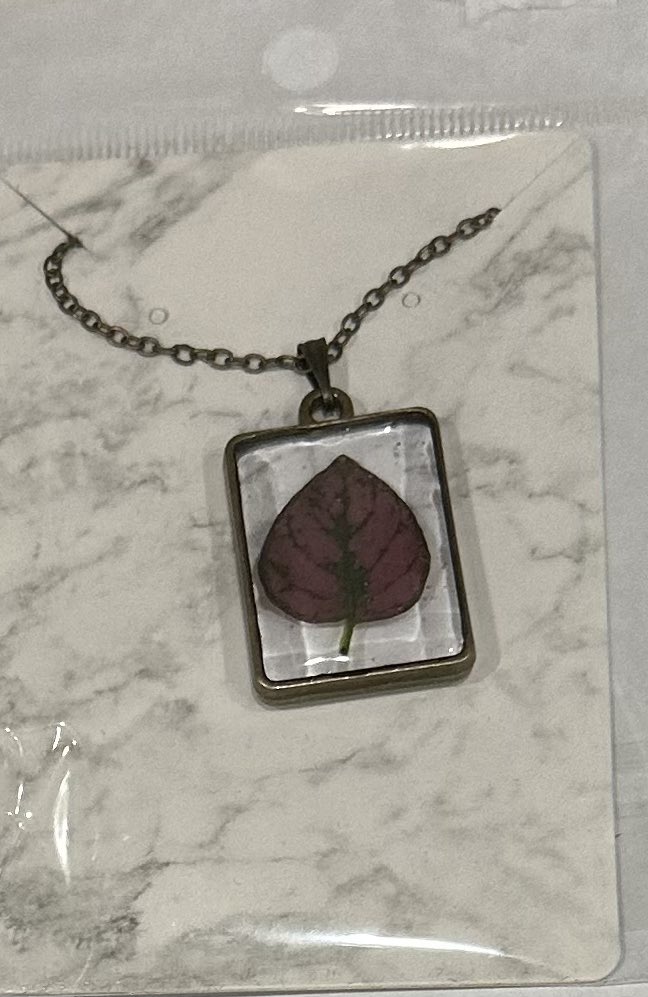 Dr. Carla Garzon tweet media