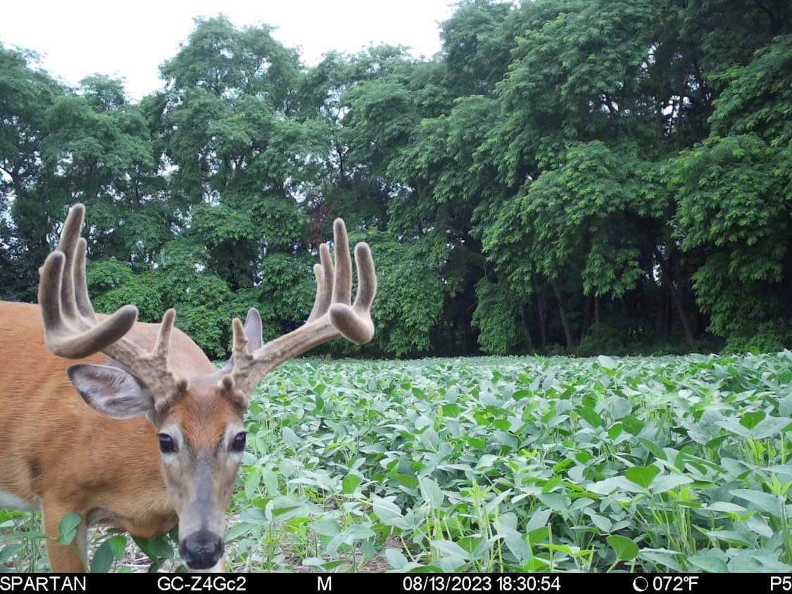 trailcamjunkies's tweet photo. Hello! @spartancamera https://t.co/hvhiHNzsV8