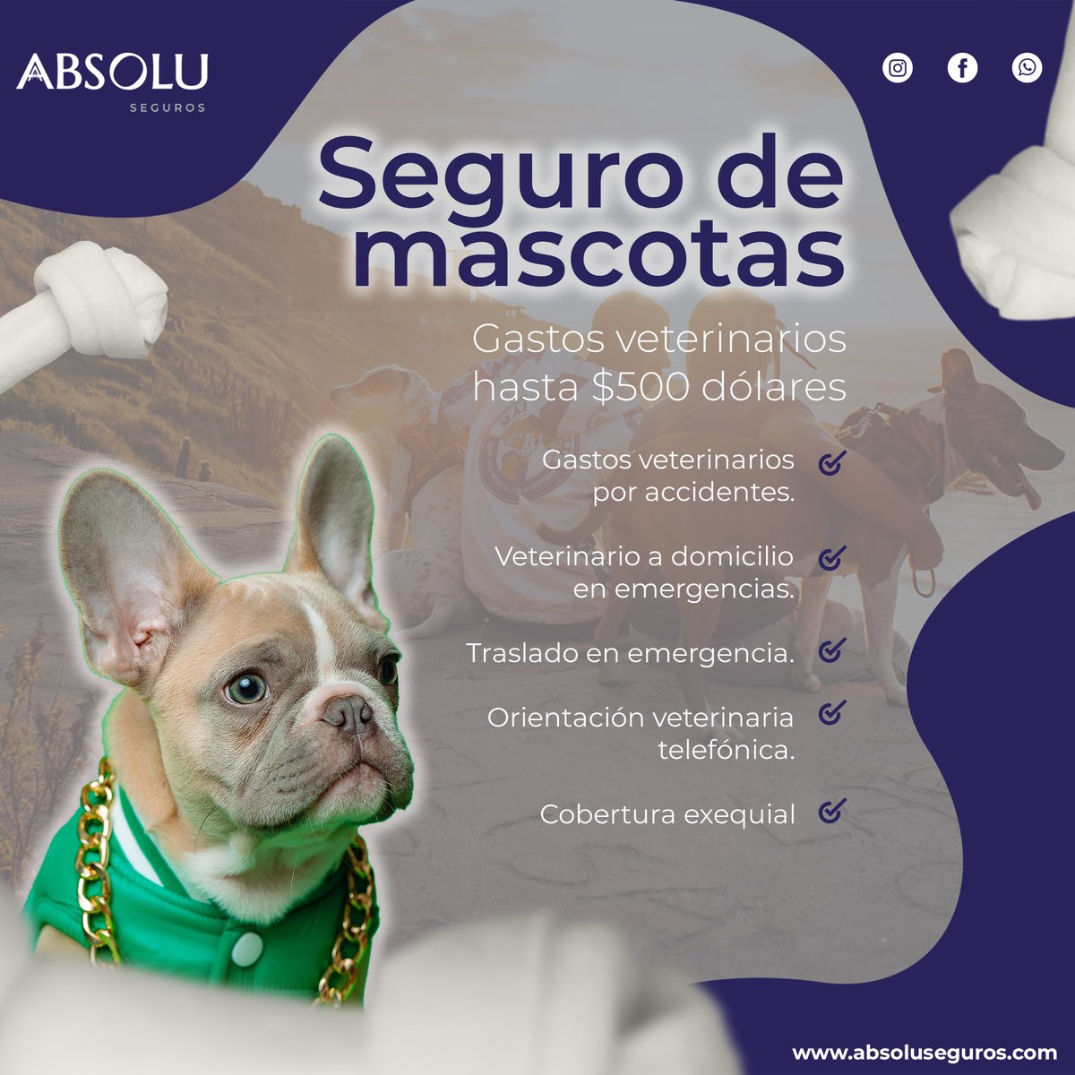 De lo que sea, donde sea y por lo que sea, a nuestras mascotas debemos proteger. #teamabsoluseguros #contigoincondicional