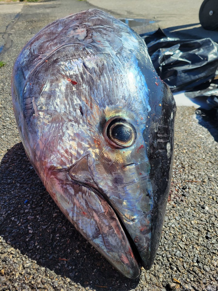 Monday has me looking like: