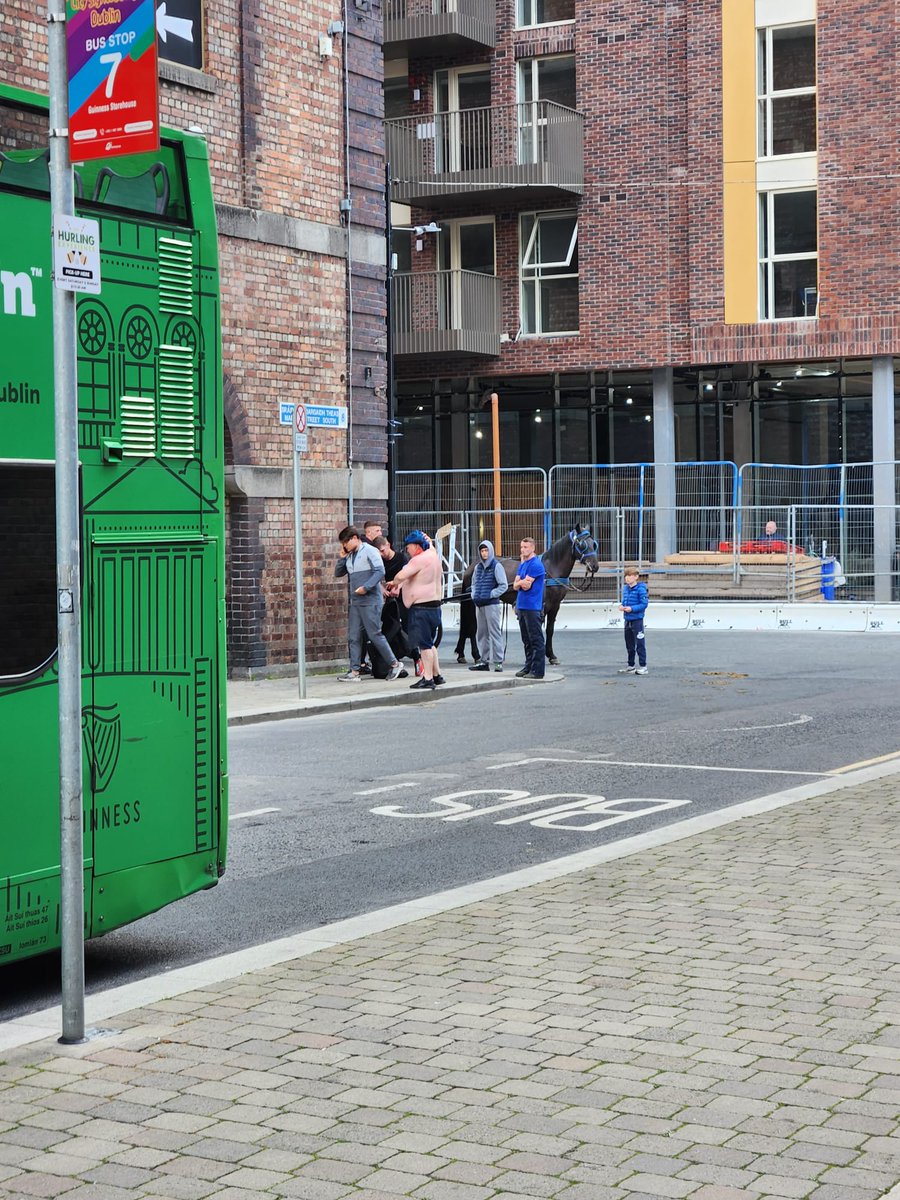 nathe75118760's tweet photo. Just going to Guinness Storehouse an hour ago for tourist day and see this vicious attack on the city center street in broad daylight. Fucking hell Dublin 😳😳😳 #Dublin #Ireland #crime #guinness #attack #UpTheDubs #horses https://t.co/WVTox8CJ5Y
