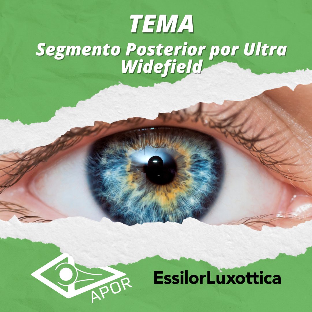 APORpt's tweet photo. Apresentamos o vencedor do desafio fotográfico de Julho.

O Dr. Bruno Pereira ganhou a categoria profissionais, com uma imagem de Angiografia Fluoresceínica de Oclusão de Ramo Temporal Superior da Veia Central da Retina.

Parabéns ao vencedor!
#APOR #ortoptista #ortoptica https://t.co/K7NtyN1Z0k