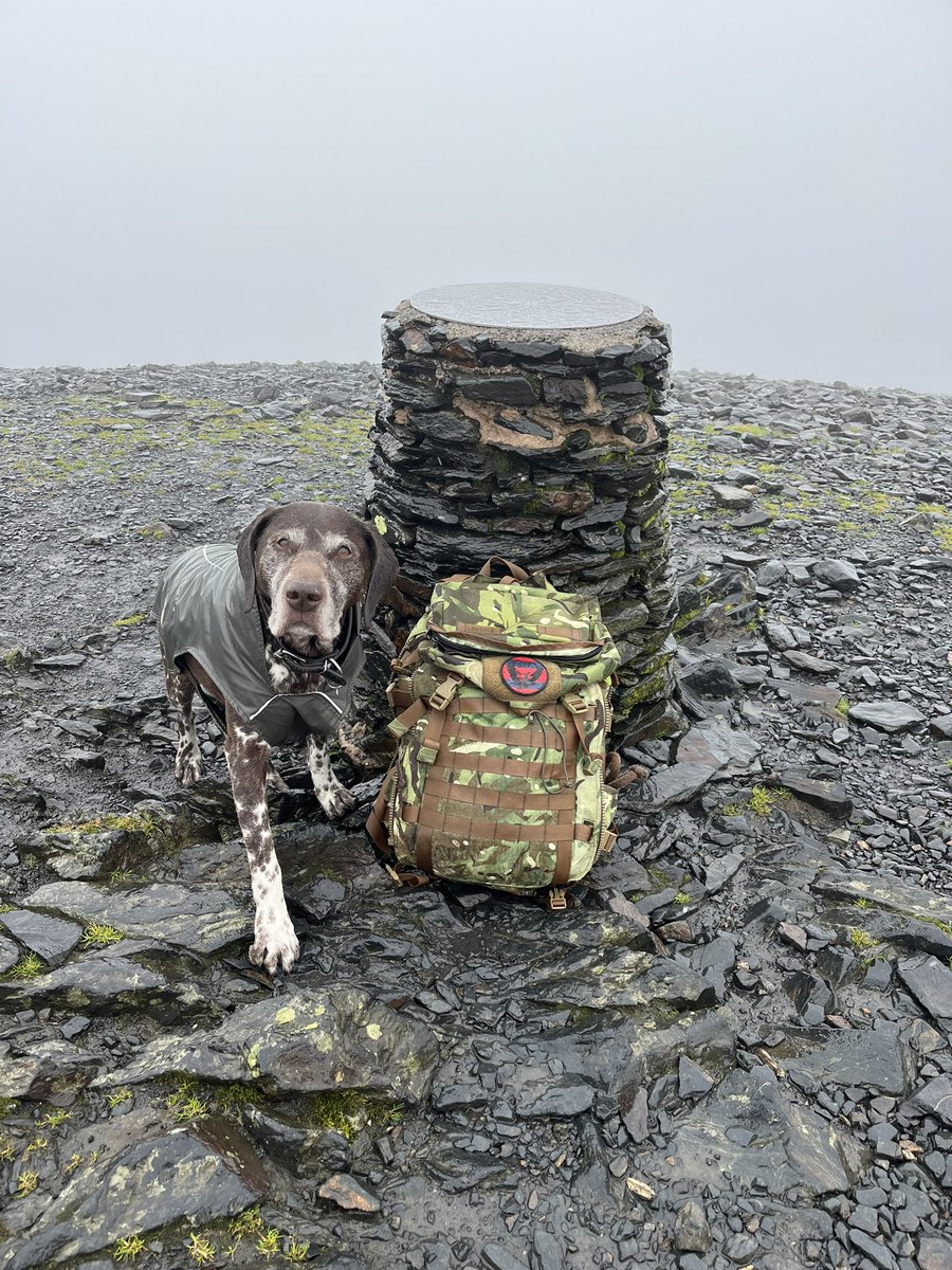 AlastairCooper's tweet photo. Max and I took a stroll up a very wet Skiddaw for a breathtaking view 😳 https://t.co/8TpFMNG6hC