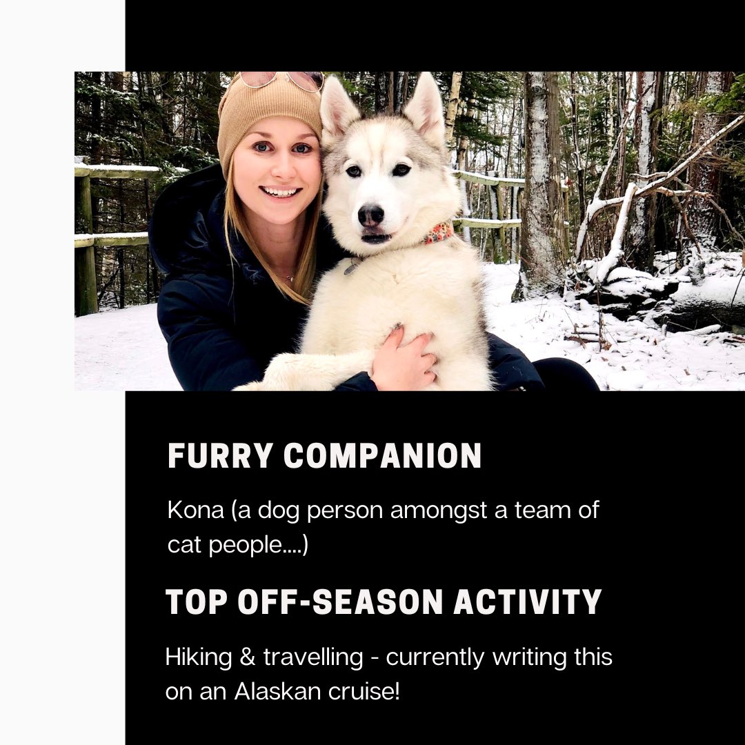 TEAMDAIGLE.NS tweet media