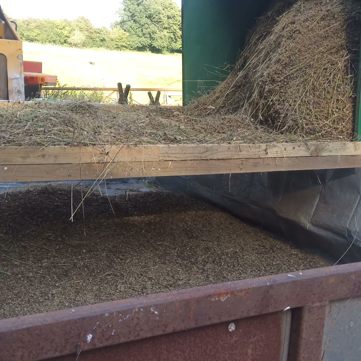 LloydNj's tweet photo. Wildflower seed harvesting on the farm to enhance other areas https://t.co/G0z6Yjo7td